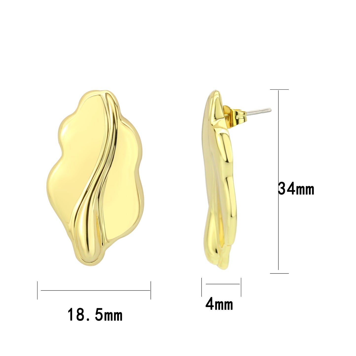 3W1733G - Flash Gold Brass Earring with NoStone in No Stone-2