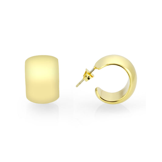 3W1740G - Flash Gold Brass Earring with NoStone in No Stone-0