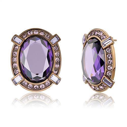 TK2571 - IP Coffee light Stainless Steel Earrings with AAA Grade CZ in Amethyst-0