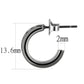 3W1141 - IP Light Black  (IP Gun) Brass Earrings with Top Grade Crystal  in Light Gray-1