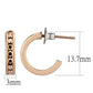 3W1142 - IP Rose Gold(Ion Plating) Brass Earrings with Top Grade Crystal  in Metallic Light Gold-2