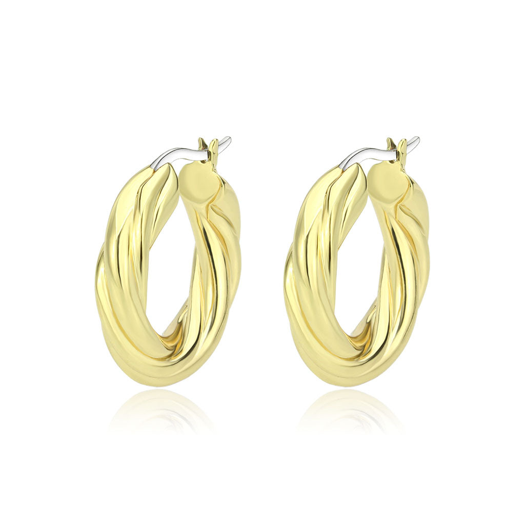 3W1743G - Flash Gold Brass Earring with NoStone in No Stone-0
