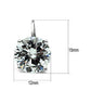 3W090 - Rhodium Brass Earrings with AAA Grade CZ  in Clear-2