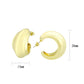 3W1739G - Flash Gold Brass Earring with NoStone in No Stone-1