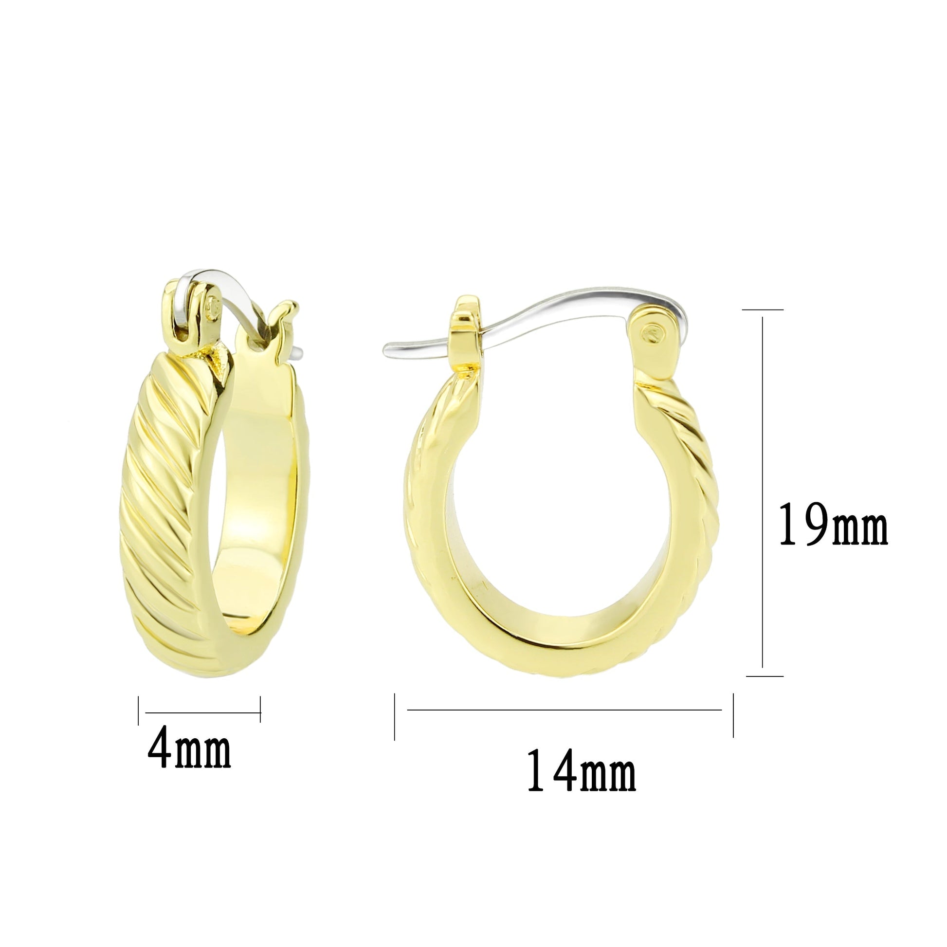 3W1745G - Flash Gold Brass Earring with NoStone in No Stone-1