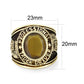 LO5M021 -Ion Gold Plated  Brass Ring with Tiger Eye Stone-1