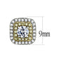 DA220 - Two-Tone IP Gold (Ion Plating) Stainless Steel Earrings with AAA Grade CZ  in Clear-1