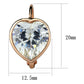 LO3872 - Rose Gold Brass Earrings with AAA Grade CZ  in Clear-1