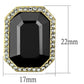 TK2378 - IP Gold(Ion Plating) Stainless Steel Earrings with Top Grade Crystal  in Hematite-1