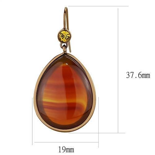 TK2575 - IP Coffee light Stainless Steel Earrings with Semi-Precious Agate in Siam-1