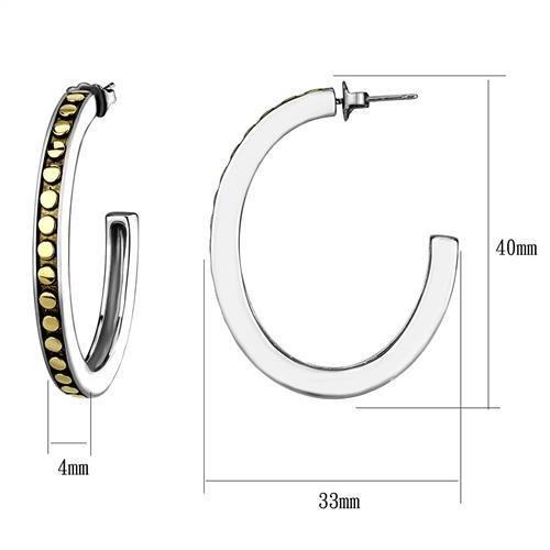 TK2891 - Two-Tone IP Gold (Ion Plating) Stainless Steel Earrings with Epoxy  in Jet-1