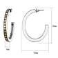 TK2891 - Two-Tone IP Gold (Ion Plating) Stainless Steel Earrings with Epoxy  in Jet-1