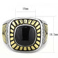 TK3294 - Two-Tone IP Gold (Ion Plating) Stainless Steel Ring with Synthetic Onyx in Jet-1