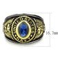 TK3726 - Two-Tone IP Gold (Ion Plating) Stainless Steel Ring with Synthetic Synthetic Glass in Montana-1