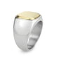 TK3909 - Two Tone IP Gold (Ion Plating) Stainless Steel Ring with NoStone in No Stone-3