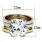 TK963 - Three Tone (IP Gold & IP Rose Gold & High Polished) Stainless Steel Ring with AAA Grade CZ  in Clear-1