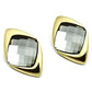 GL341 - IP Gold(Ion Plating) Brass Earrings with Synthetic Synthetic Glass in Black Diamond-1