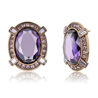 TK2571 - IP Coffee light Stainless Steel Earrings with AAA Grade CZ  in Amethyst-0