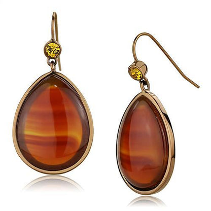 TK2575 - IP Coffee light Stainless Steel Earrings with Semi-Precious Agate in Siam-0