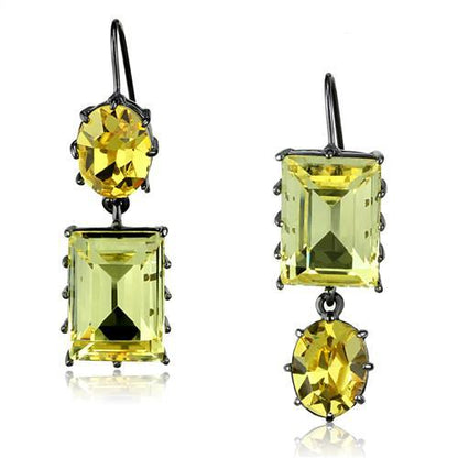 TK2709 - IP Light Black  (IP Gun) Stainless Steel Earrings with Top Grade Crystal  in Multi Color-0